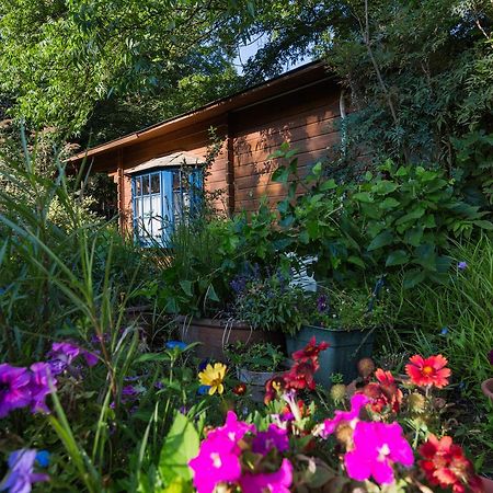 Lavenderin Lodges Ramot Naftali Exterior foto